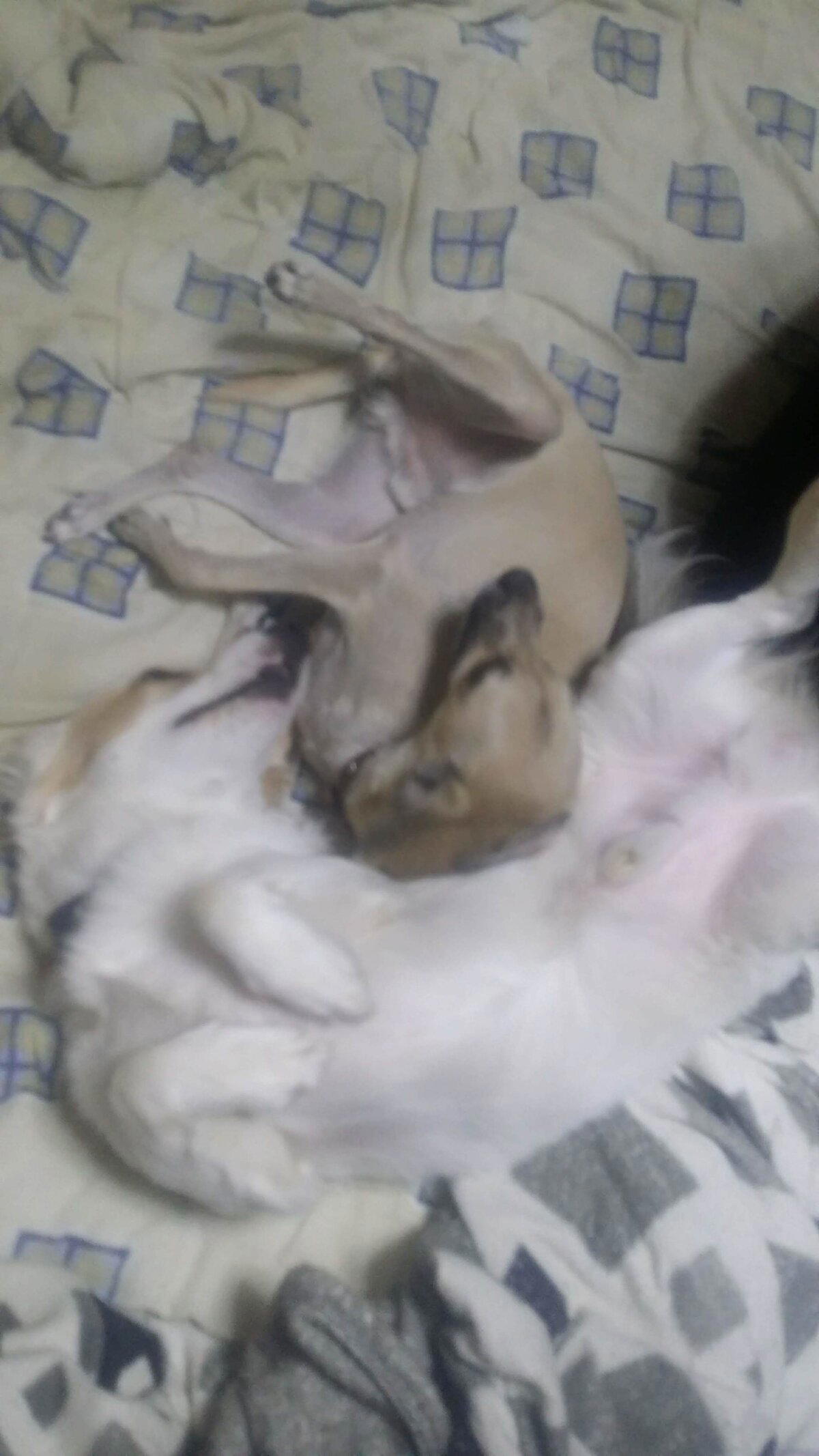 Было->стало