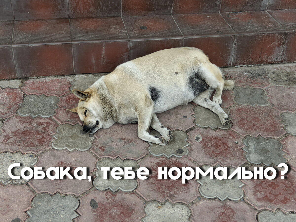 Тебе нормально?