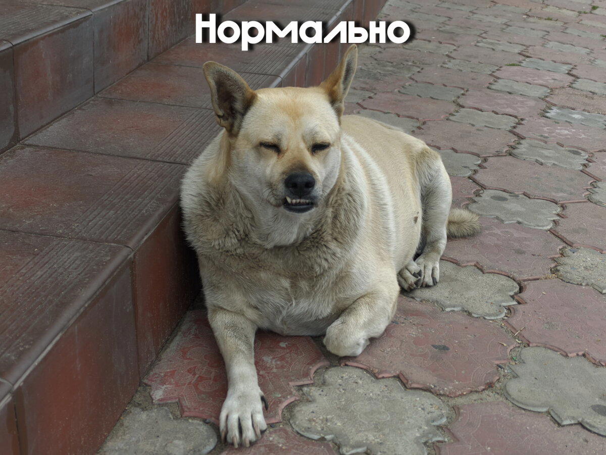 Тебе нормально?
