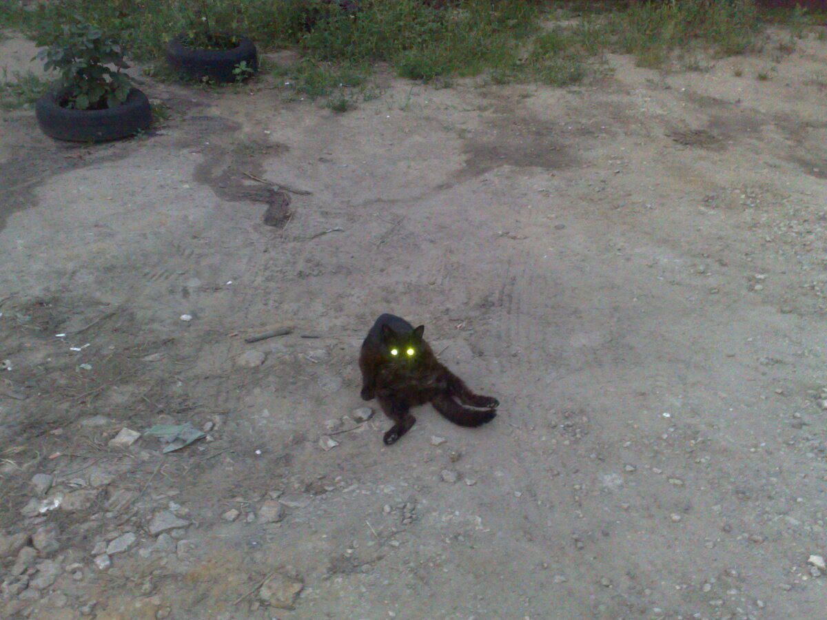 Че уставился, топай дальше