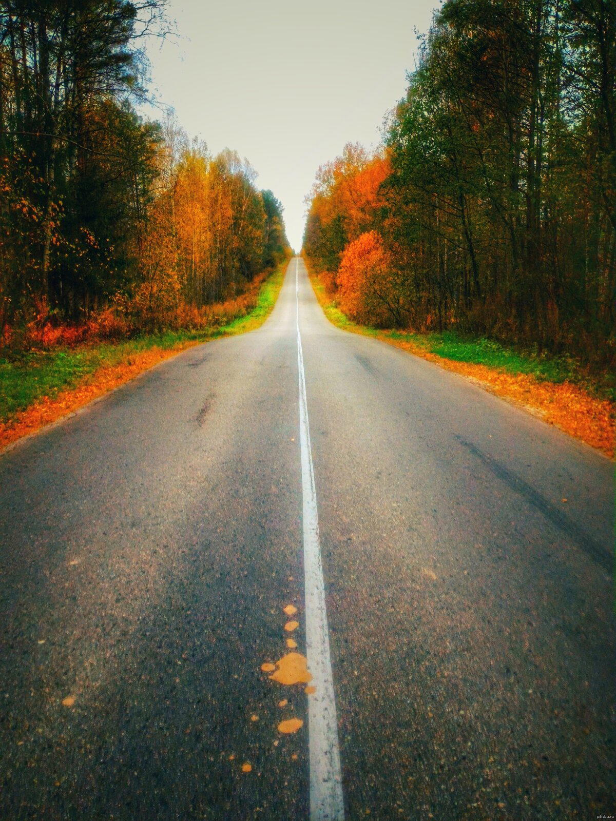 Дорога