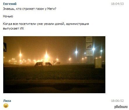 Внезапно.
