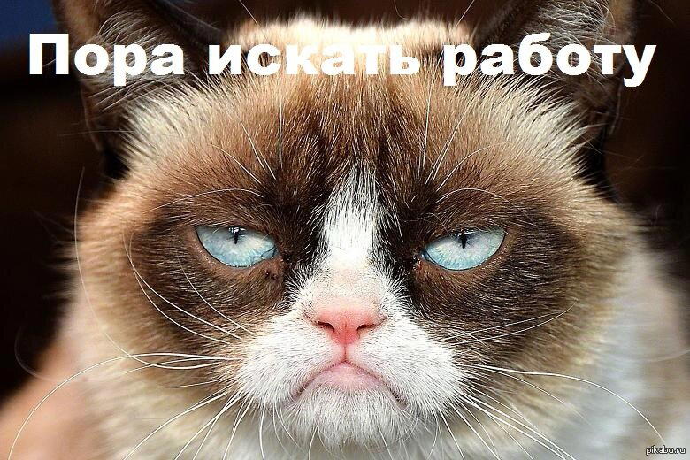 Когда Fallout 4 не запускается под DX10