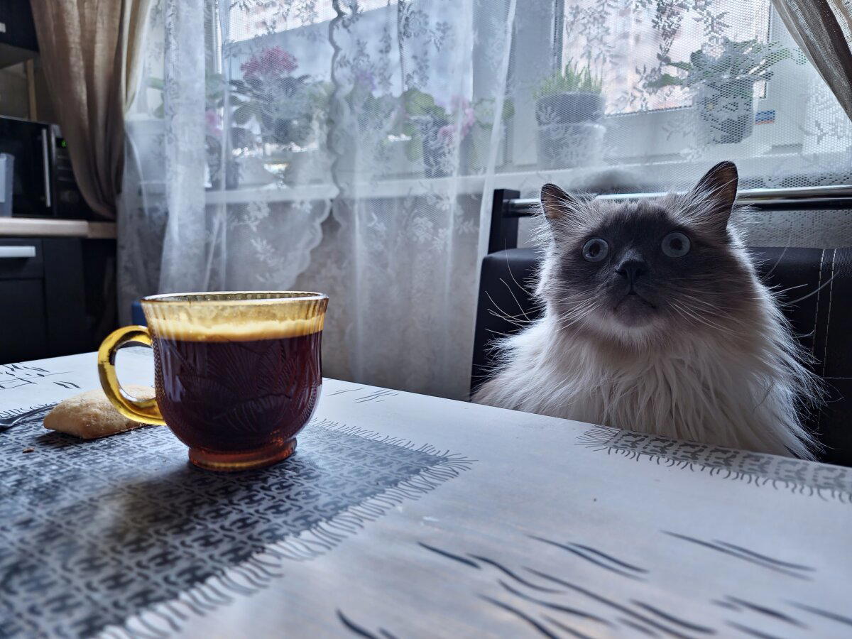 Кофейку?