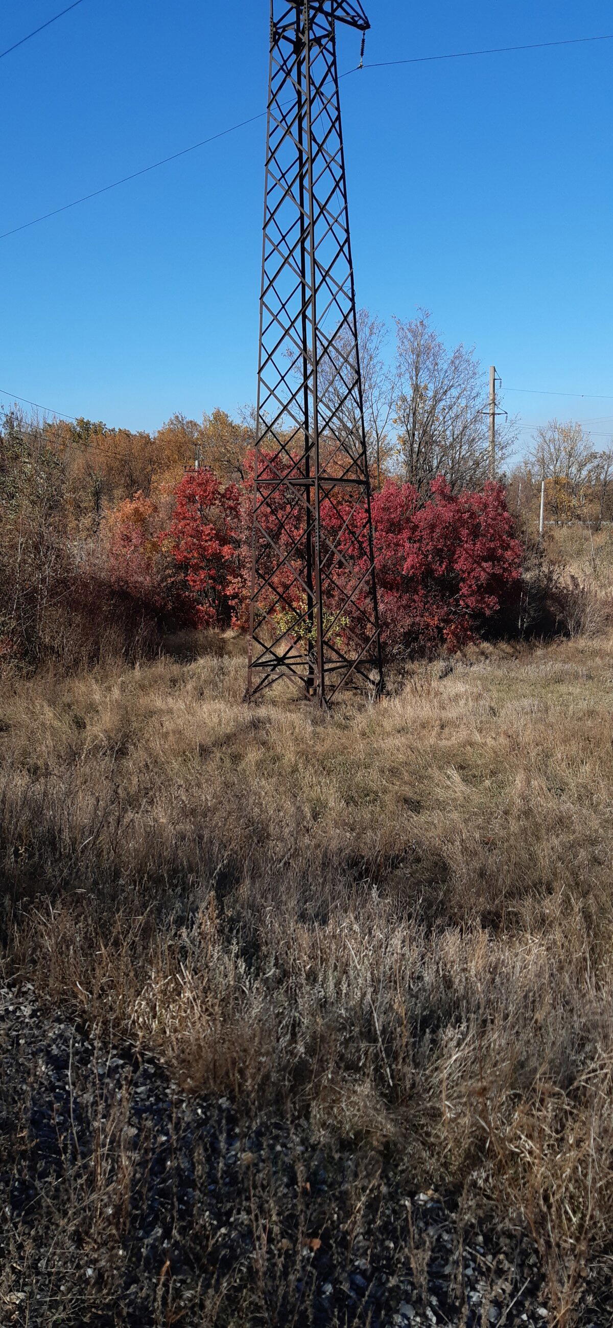 Осенний Донбасс (2)