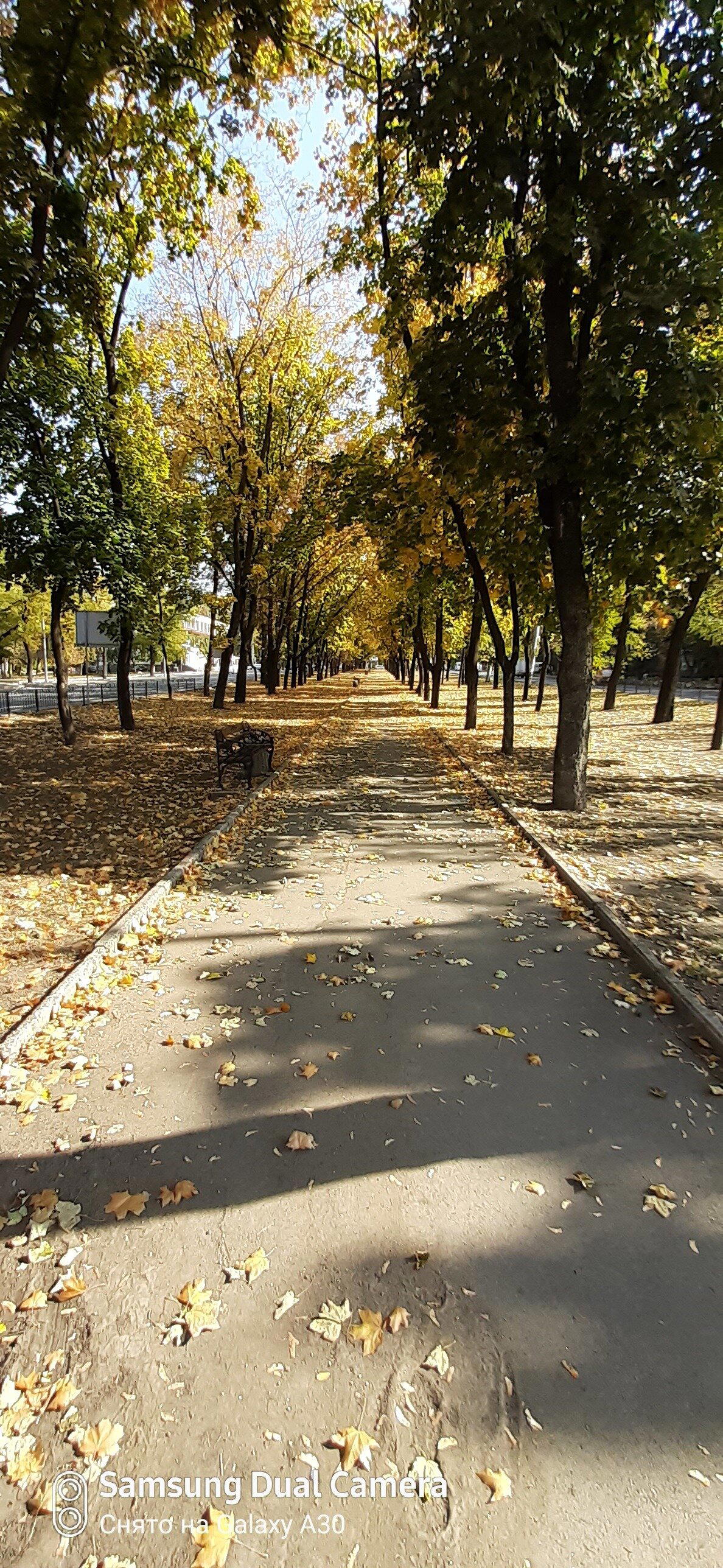 Осенний Донбасс