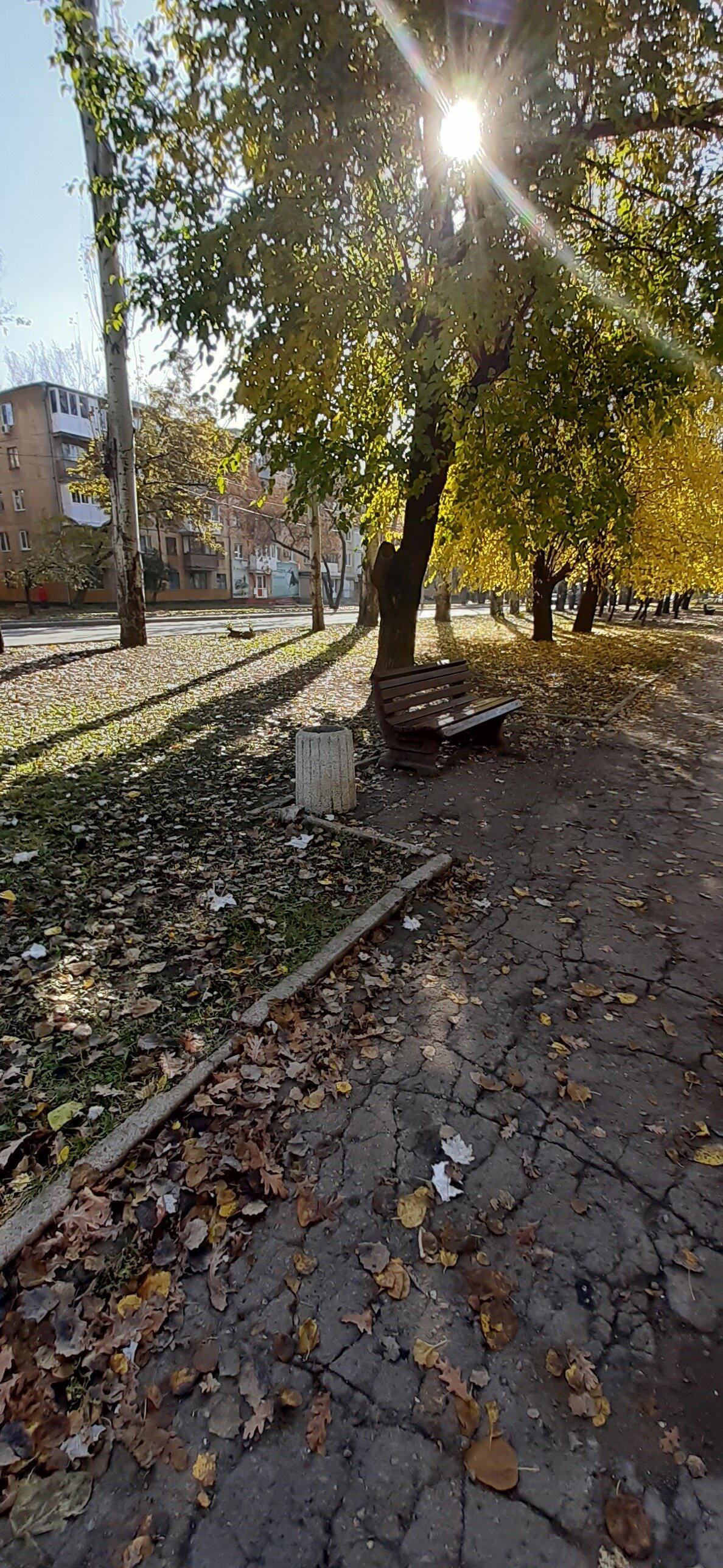 Осенний Донбасс (3)Шляюсь по  Донецку