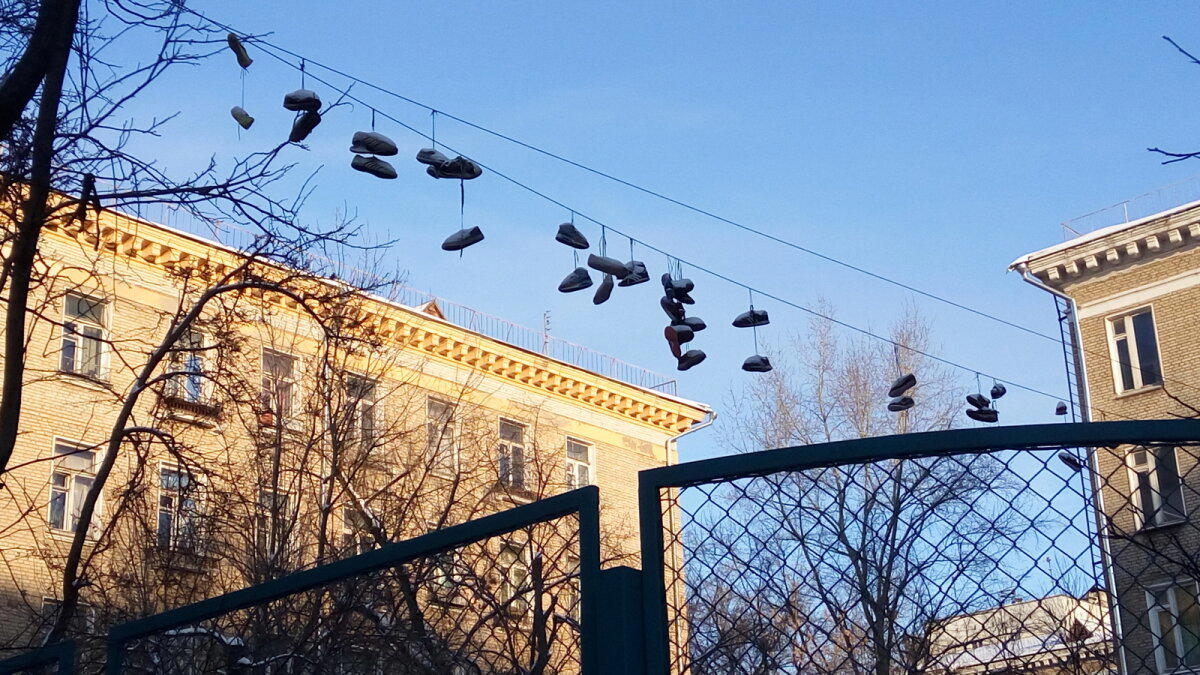 Страшная месть. Загадка, но я могу предположить, что аутсайдер местной команды психанул. Длиннопост.