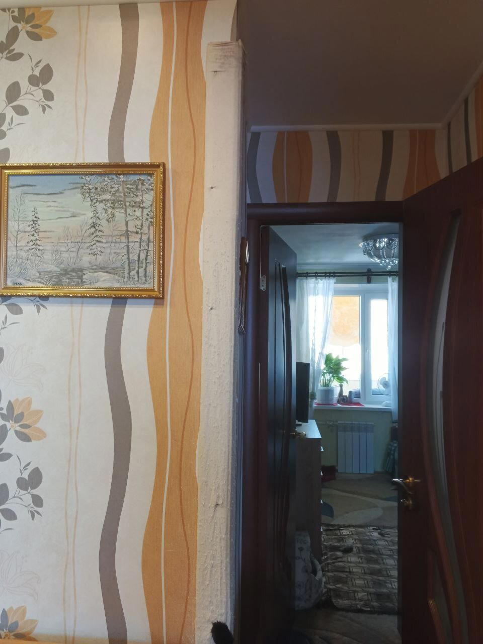 Когтеточка для кота