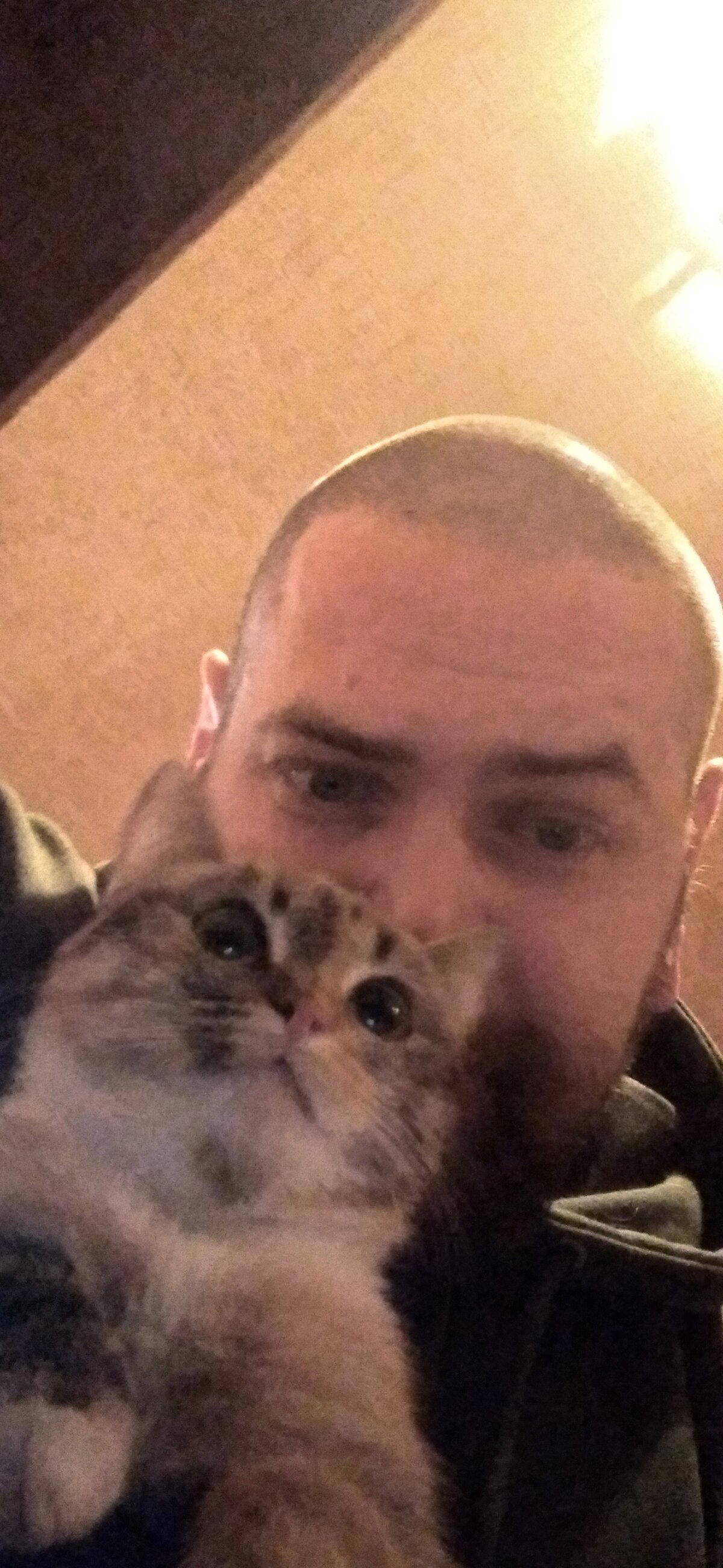 Я нашёл кота на помойке