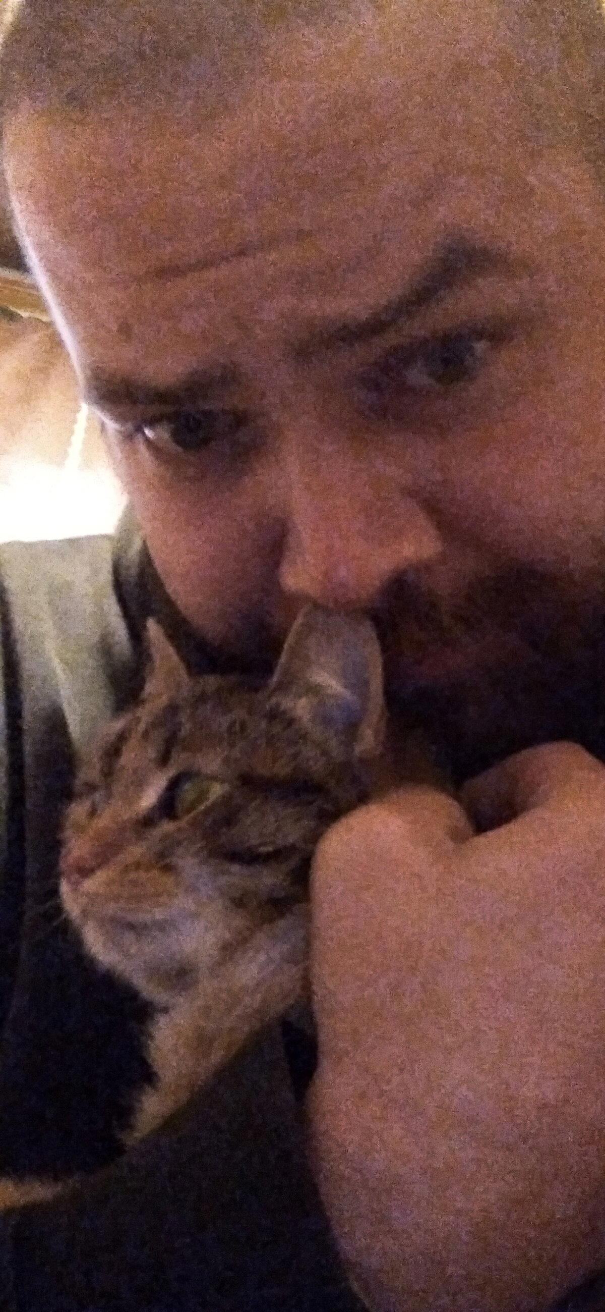 Я нашёл кота на помойке