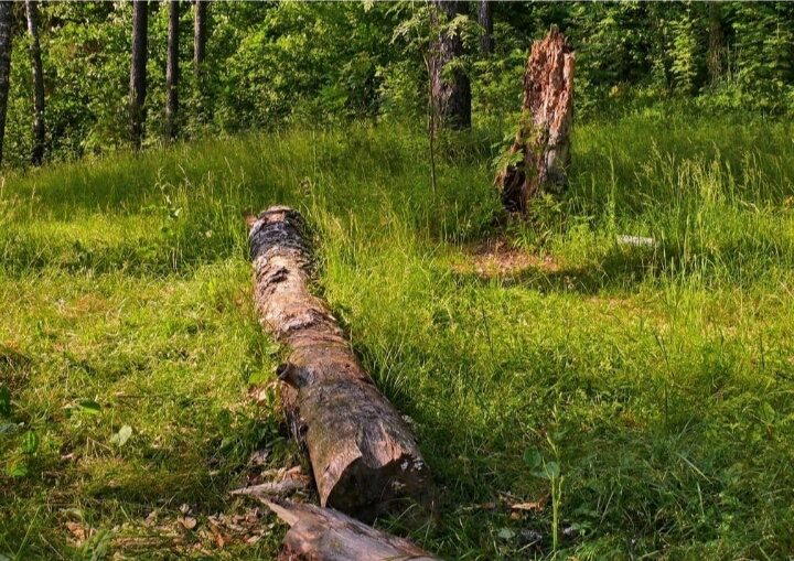 Урок на всю жизнь