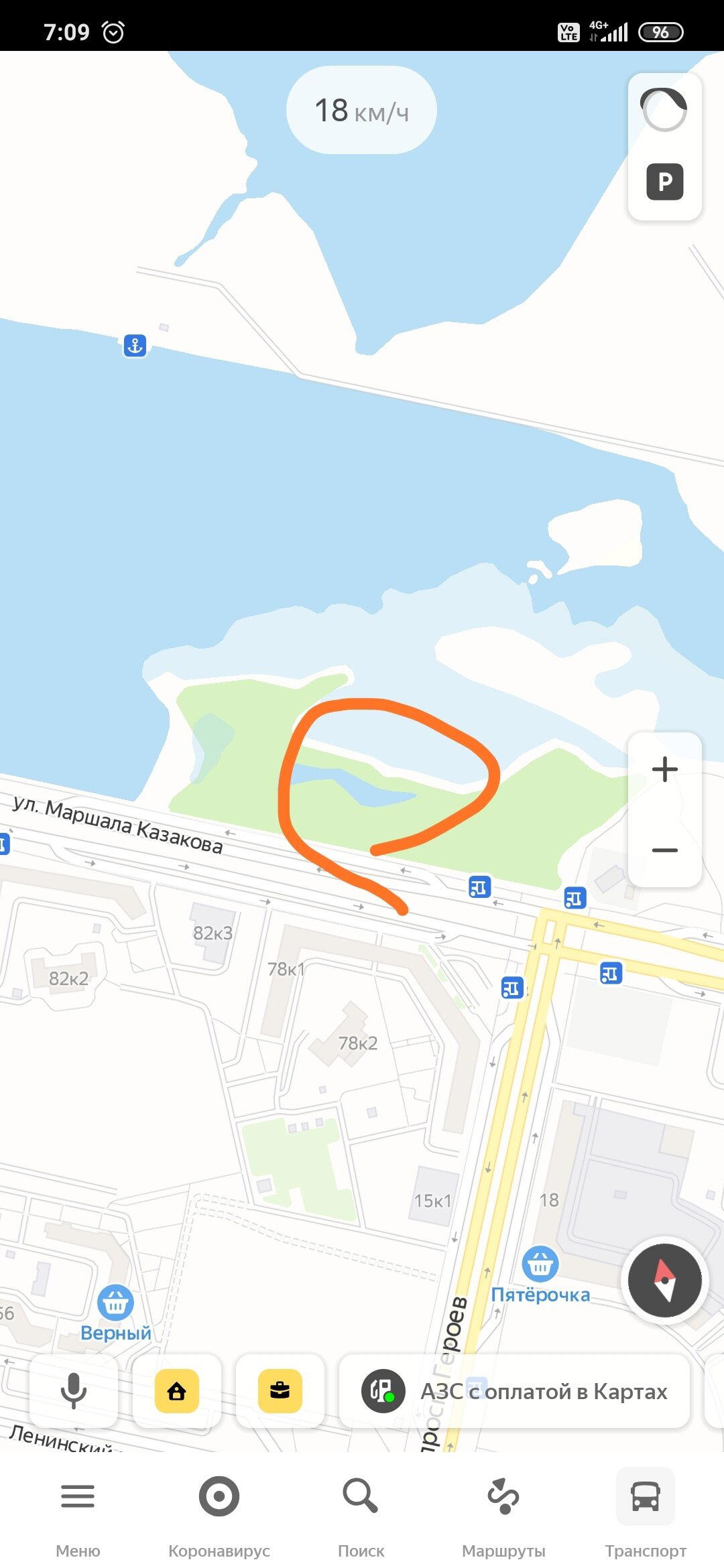 Лягухи в городе
