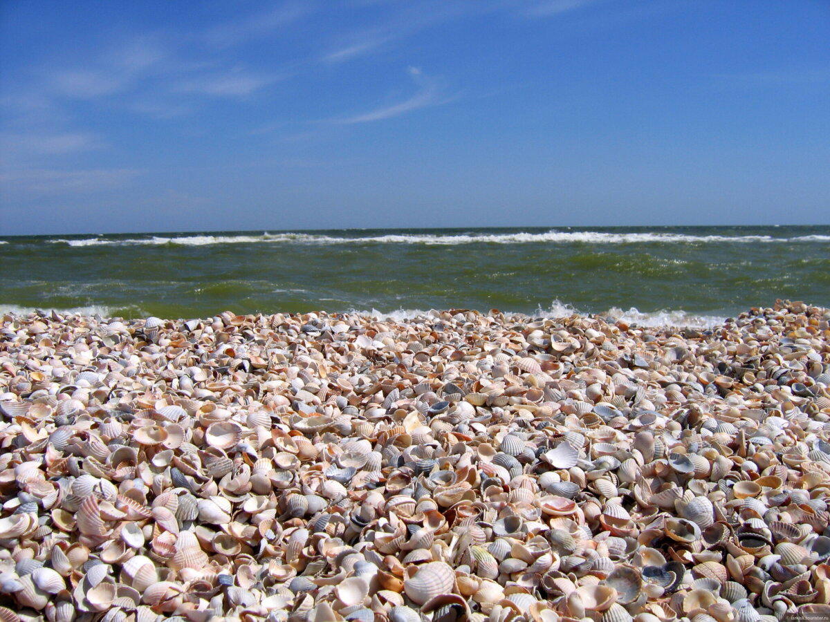 Азовское море