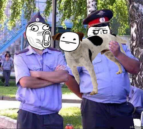 Нелепый закон