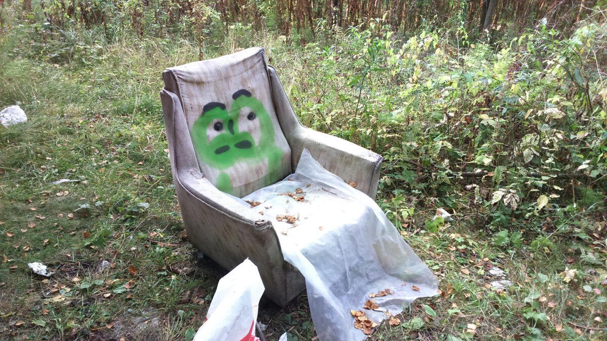 Ёжик - альбинос и кресло с глазами