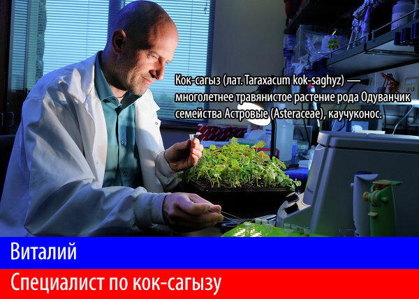 Граммар-Вася. Пишем и говорим правильно. Выпуск 3. Буква Ы