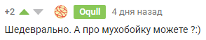 Стихи про большую женщину