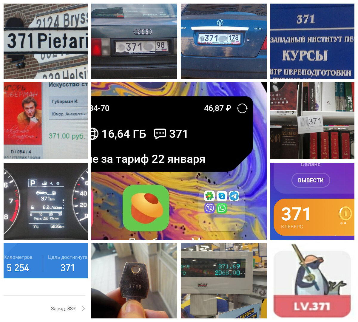 371 головного мозга