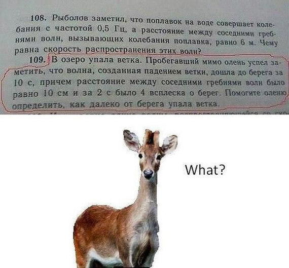 Граммар-Вася. Пишем и говорим правильно. Выпуск 4.2. Пунктуация. Запятые