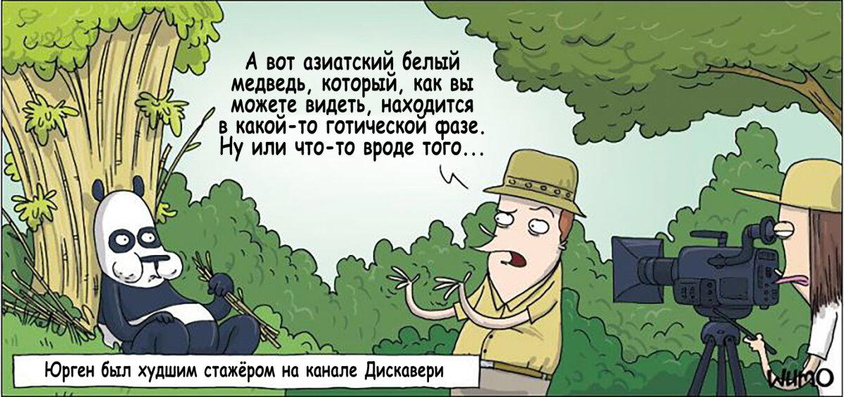 На самом деле панды...