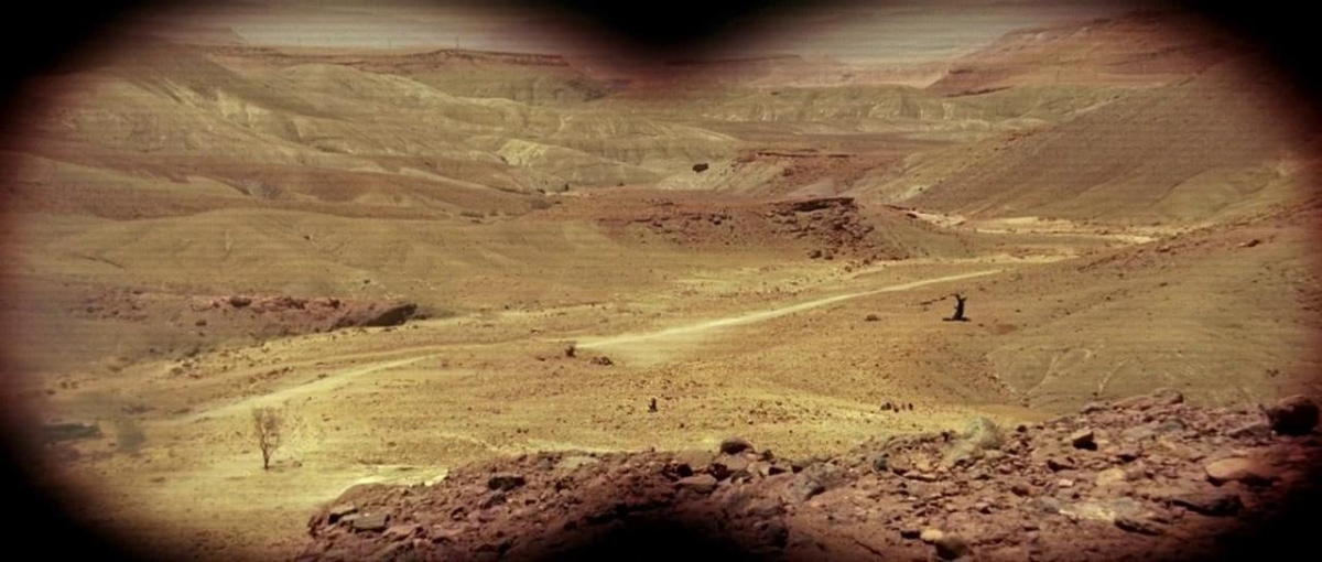 Пустыня, мутанты и старое доброе ультранасилие. Отзыв на хоррор «У холмов есть глаза» (2006)