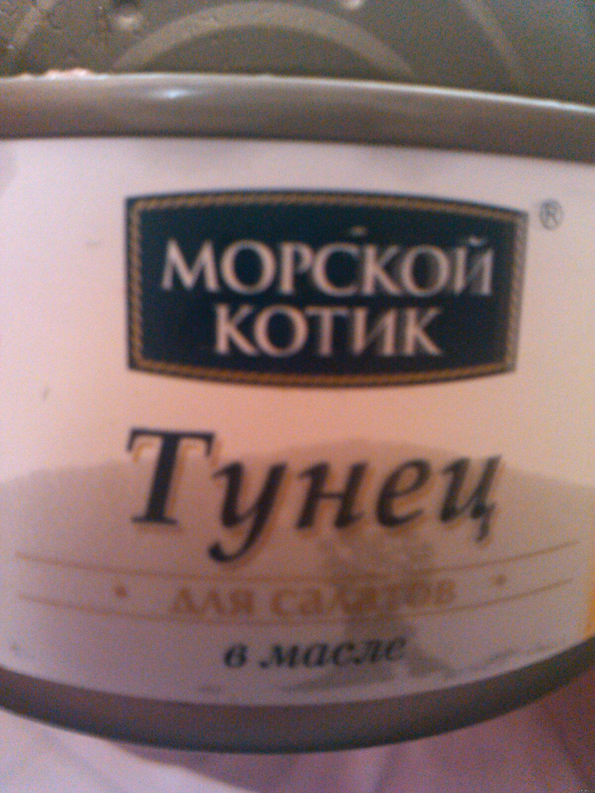 Капитан нелогичность