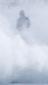 Разбирал фотографии, и тут - он!