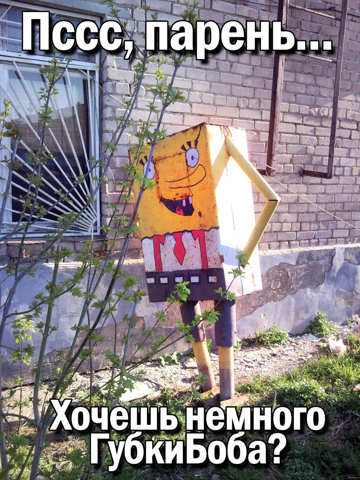 Псс, парень...