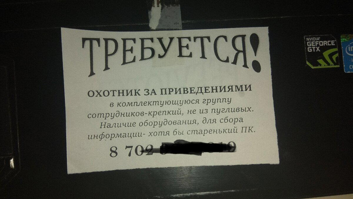 Обычные объявления в подъезде.