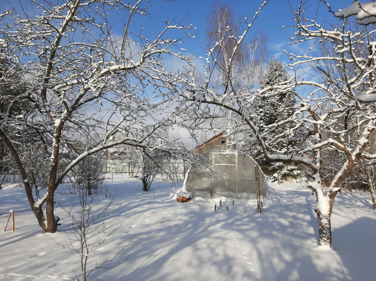 Планетарные зарисовки
