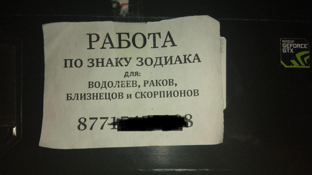 Обычные объявления в подъезде.