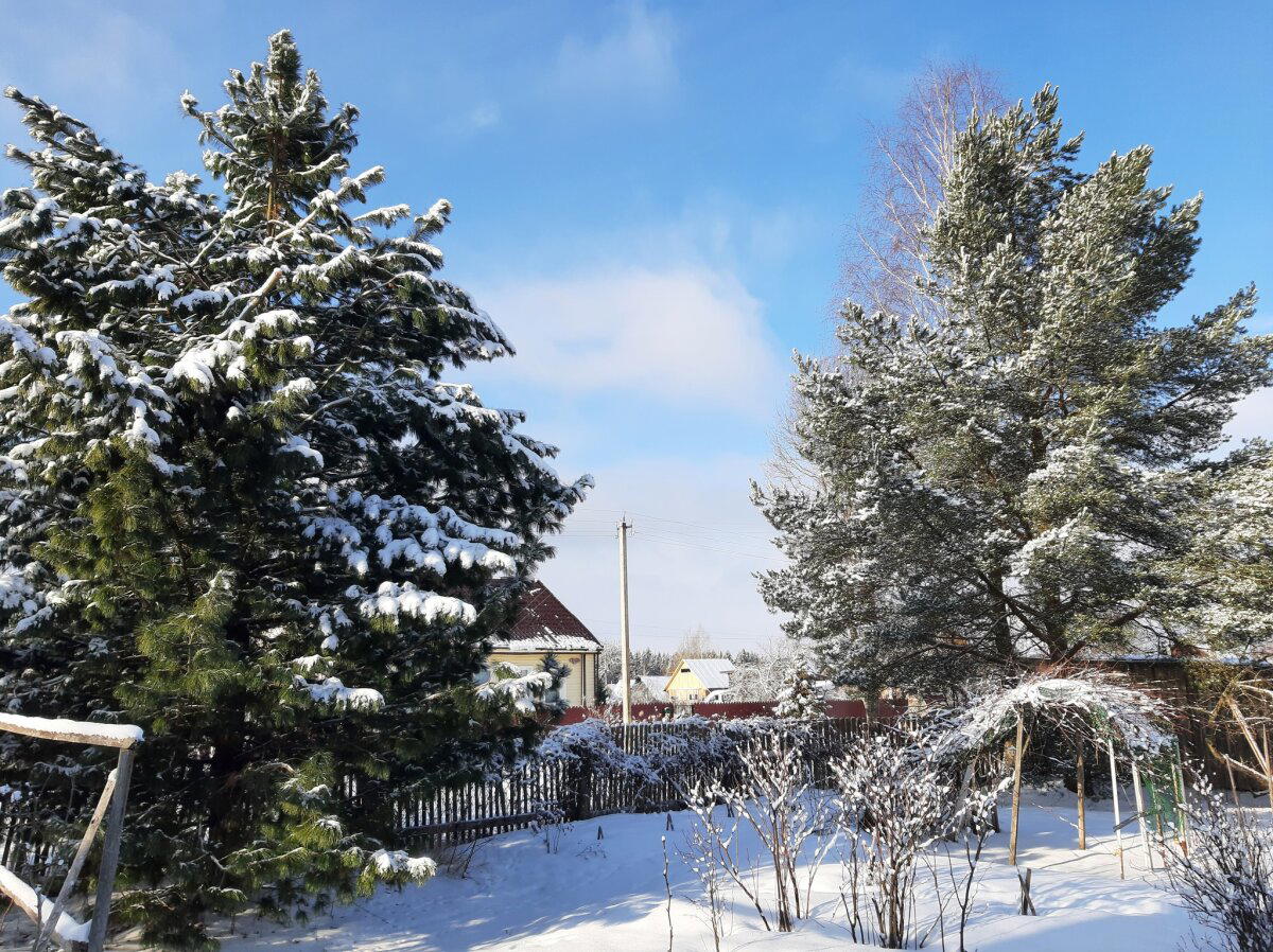 Планетарные зарисовки