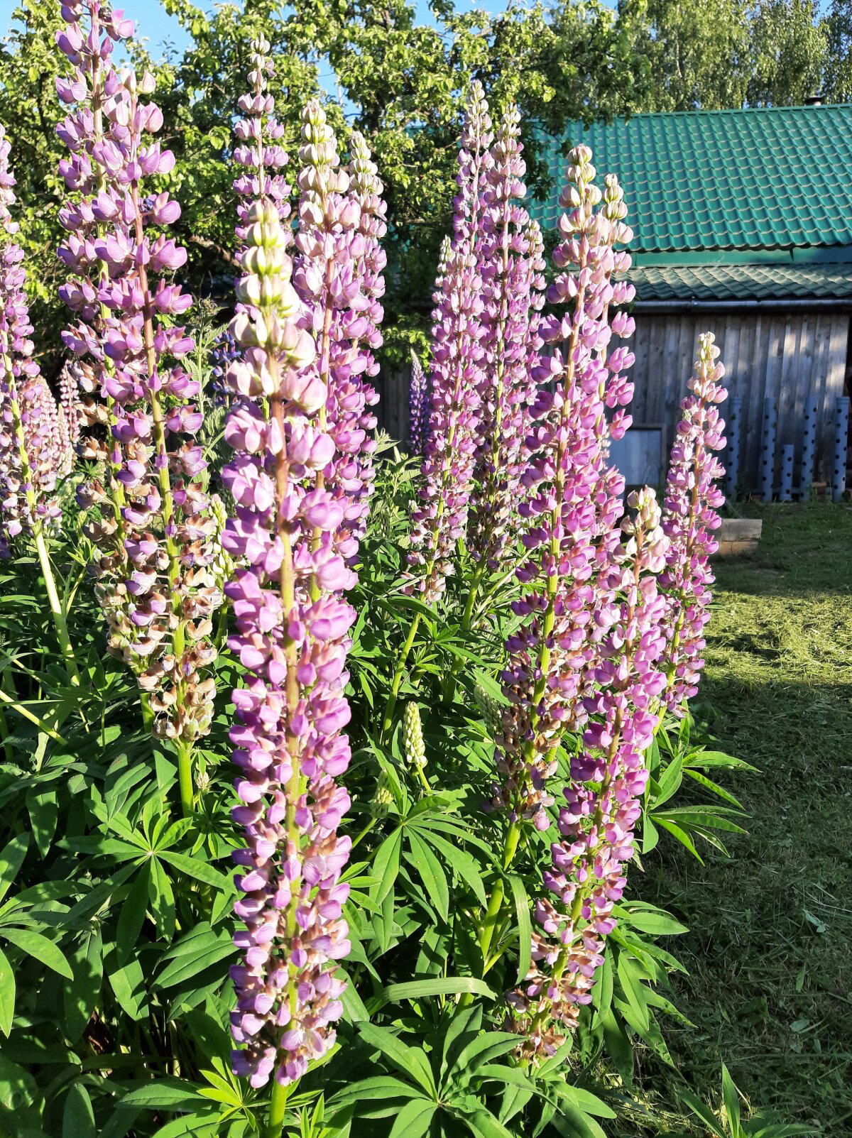 Планетарные зарисовки