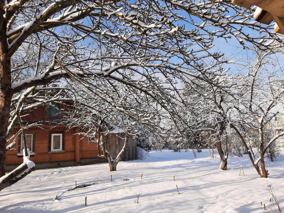 Планетарные зарисовки