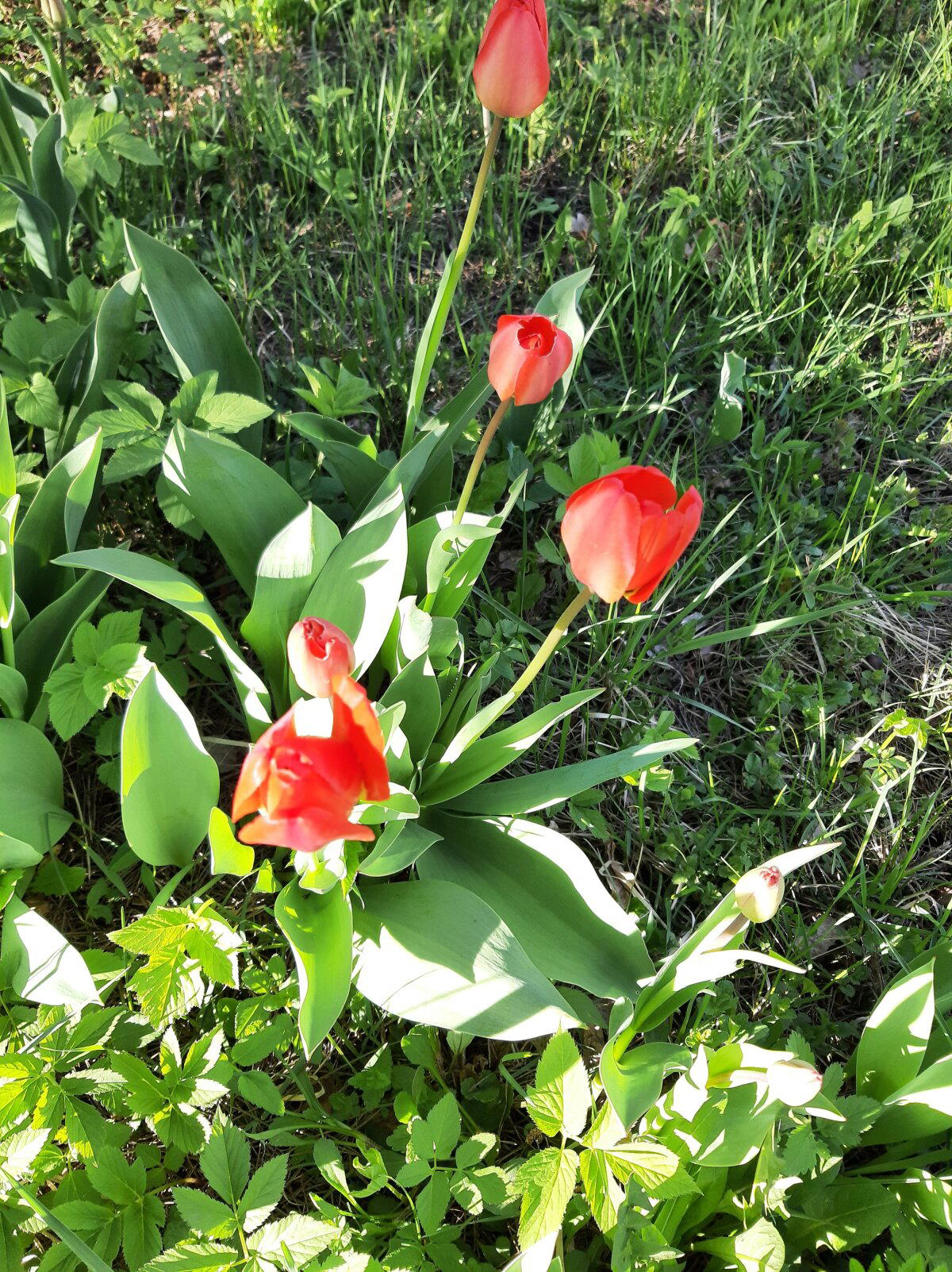 Планетарные зарисовки