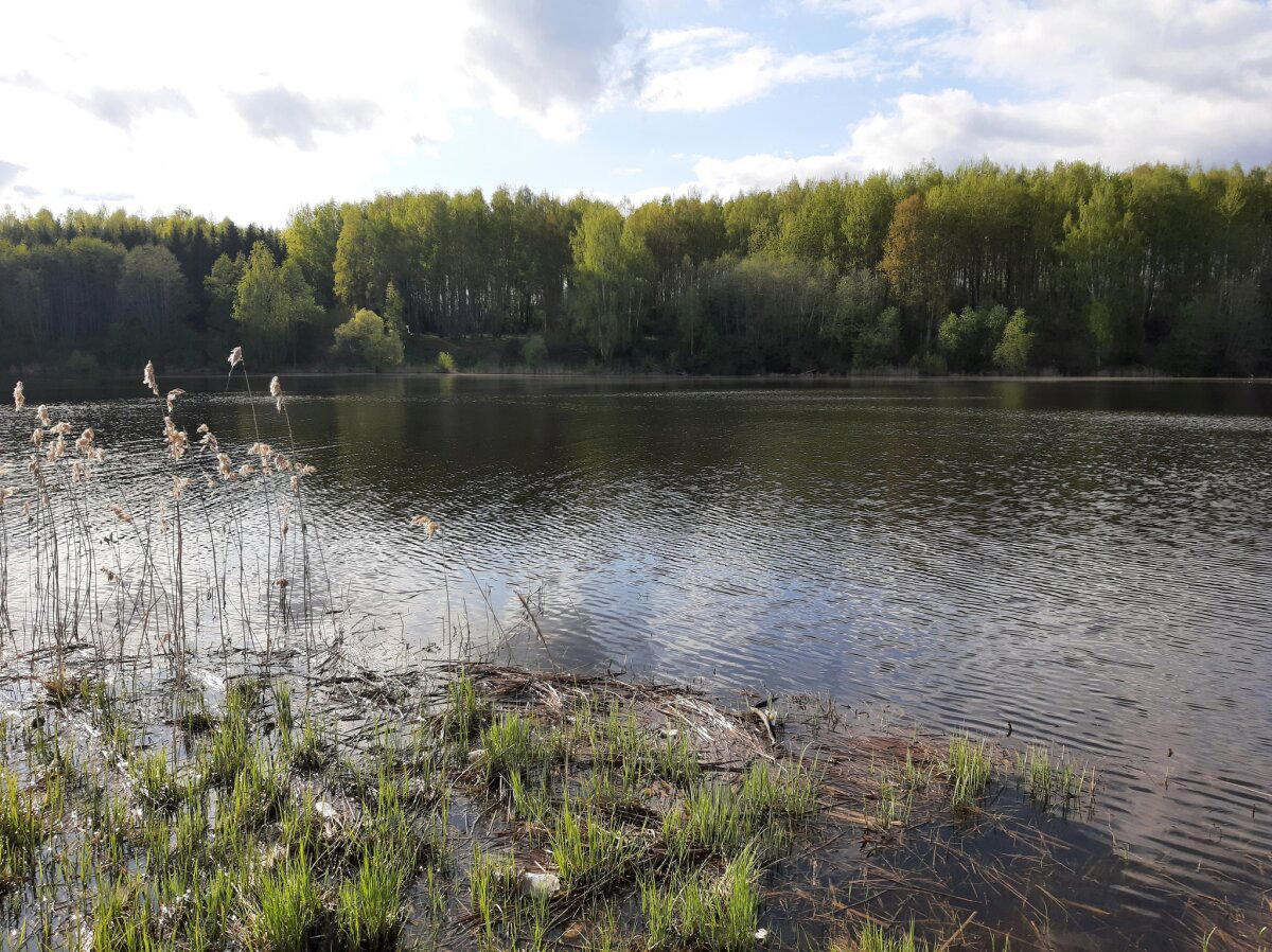 Планетарные зарисовки