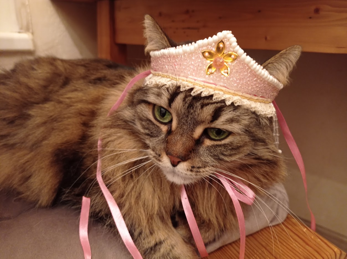Пятничное моё