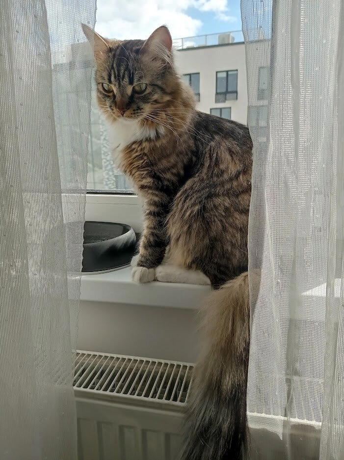 Роскошные меха