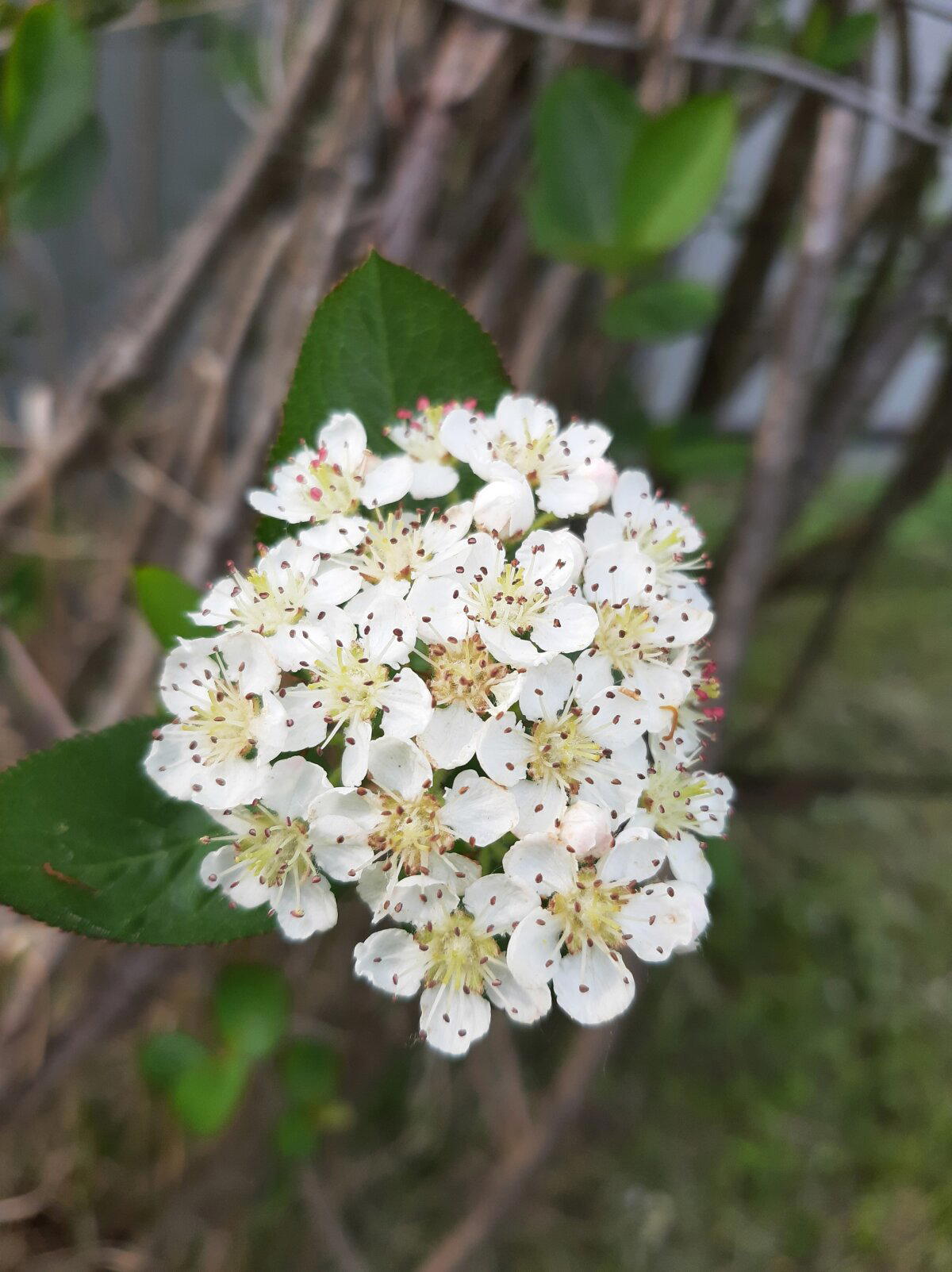 Планетарные зарисовки
