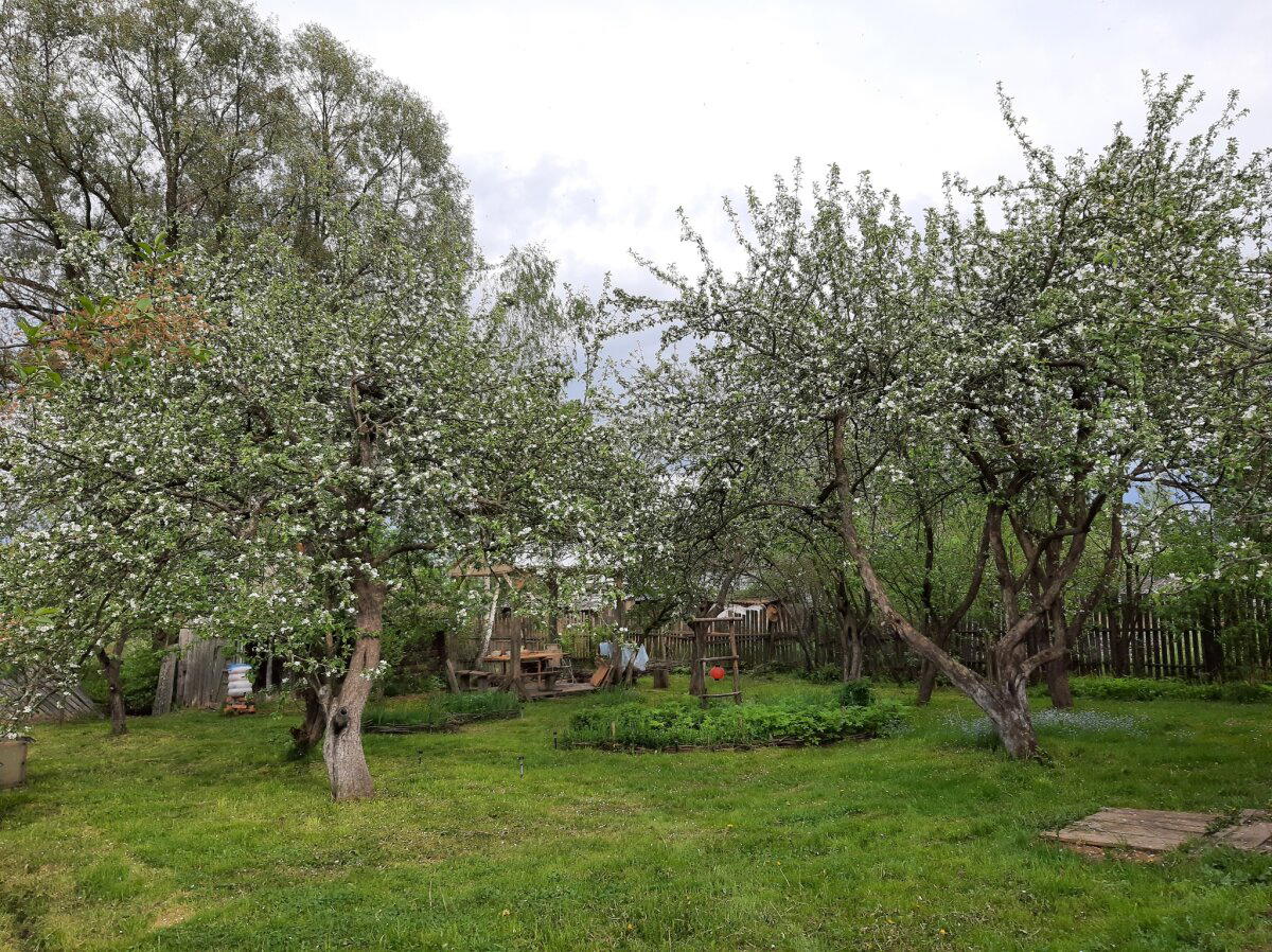 Планетарные зарисовки