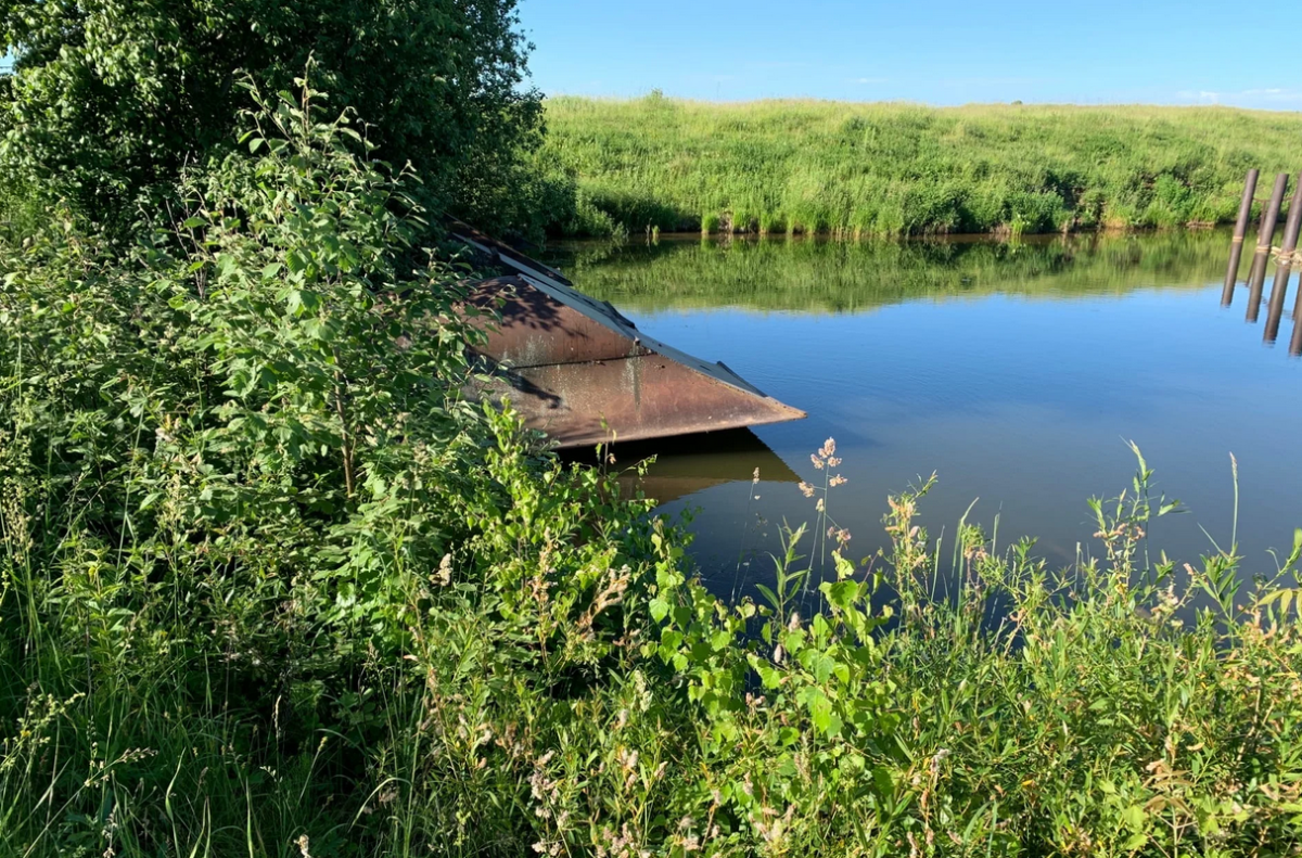 Спас 72 штуки мелкой рыбы, выловив ее удочкой из закрытого водосброса озера. Там водилось четыре вида рыбы