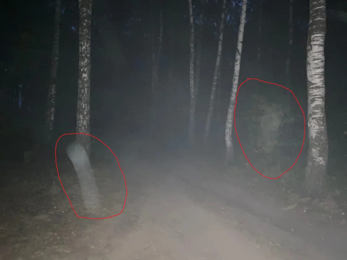 Побывал ночью на старой дороге, где по деревенским поверьям можно встретить призраков
