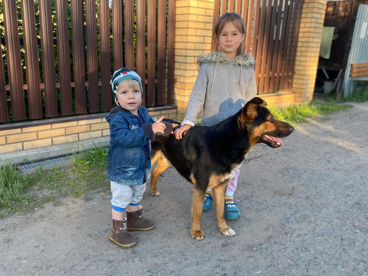 Пристроили с дочкой бездомную собаку