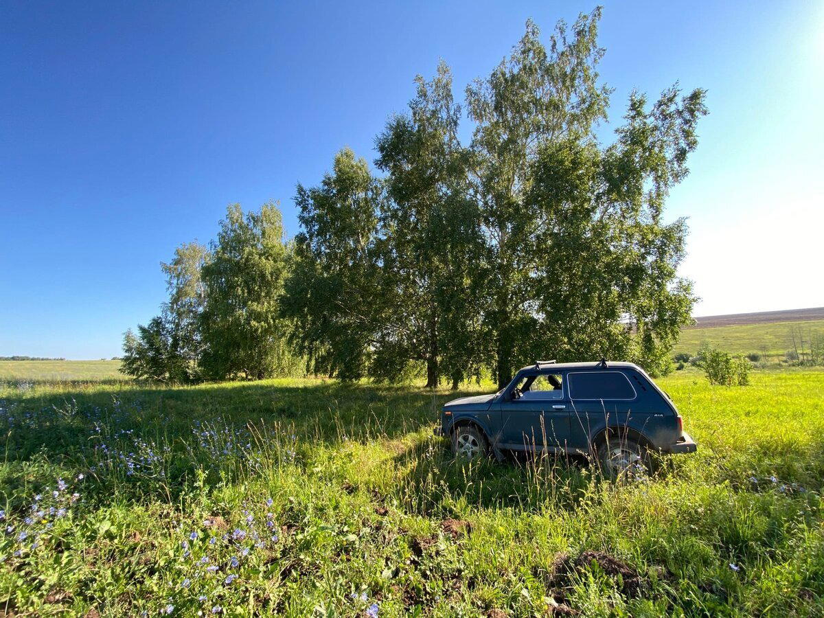 Один день поисковика по заброшкам: места, находки, заработки, траты