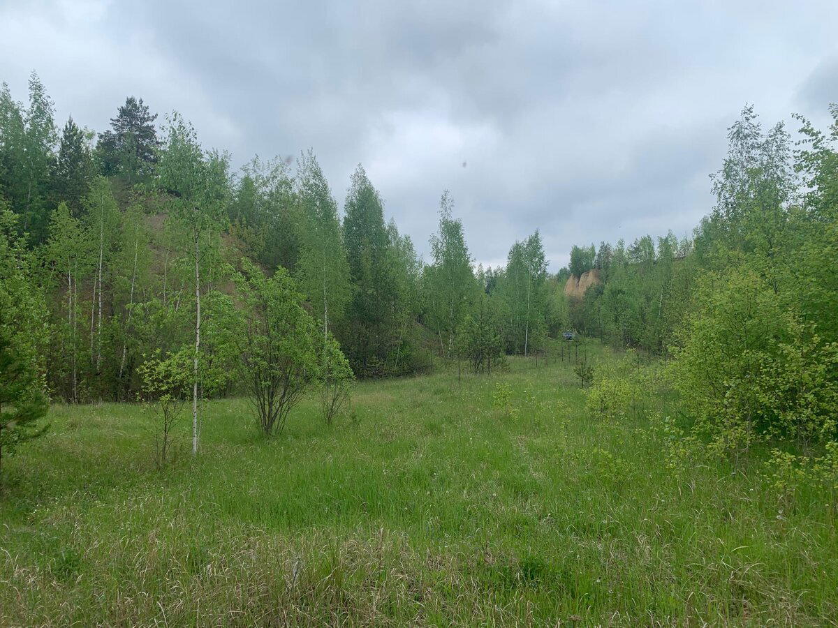 Думал - ничего сегодня не заработаю, но повезло...