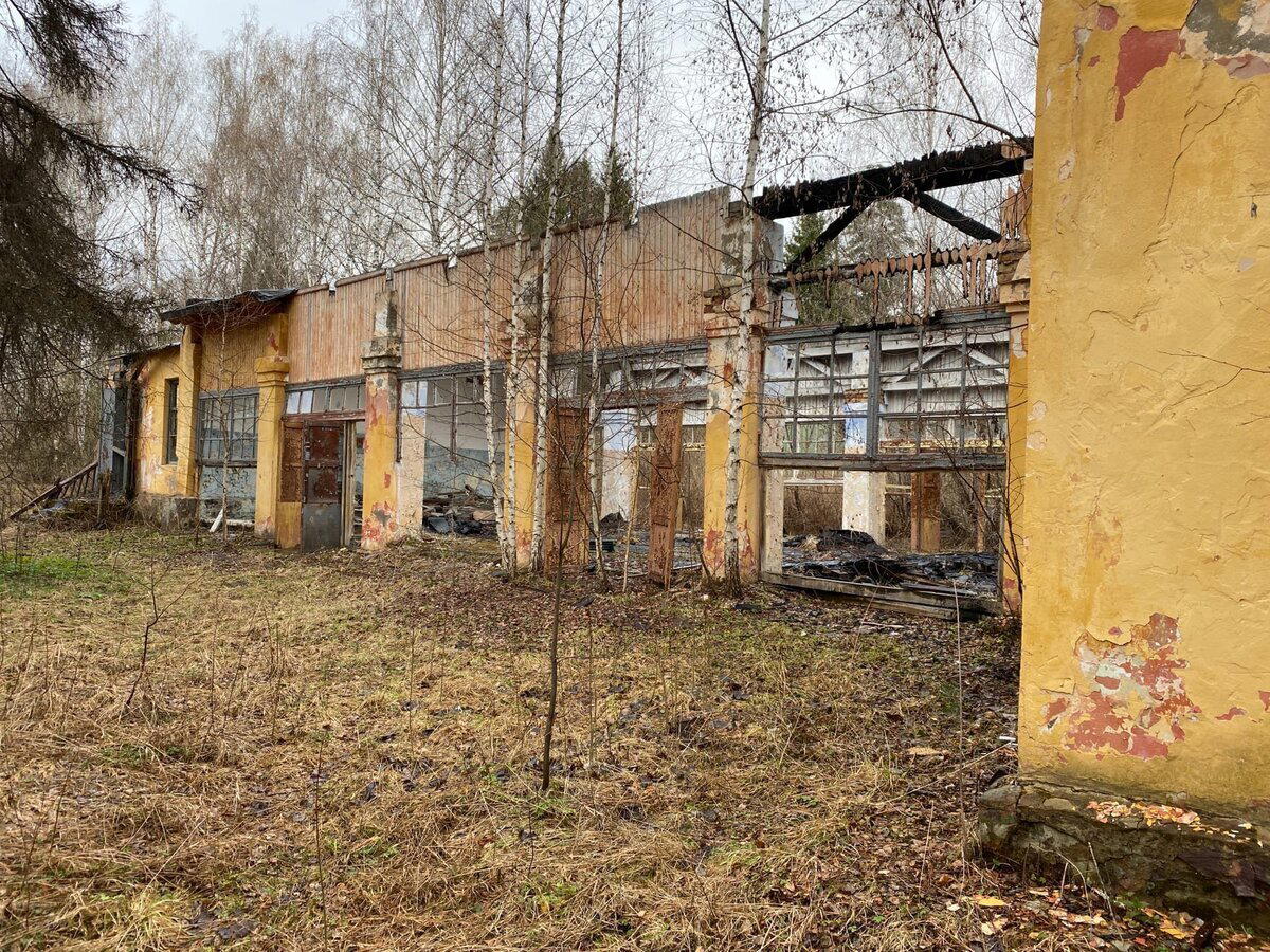 Наткнулся в лесу на заброшенный лагерь, со здоровым бассейном. Такое чувство, что я здесь был когда -то