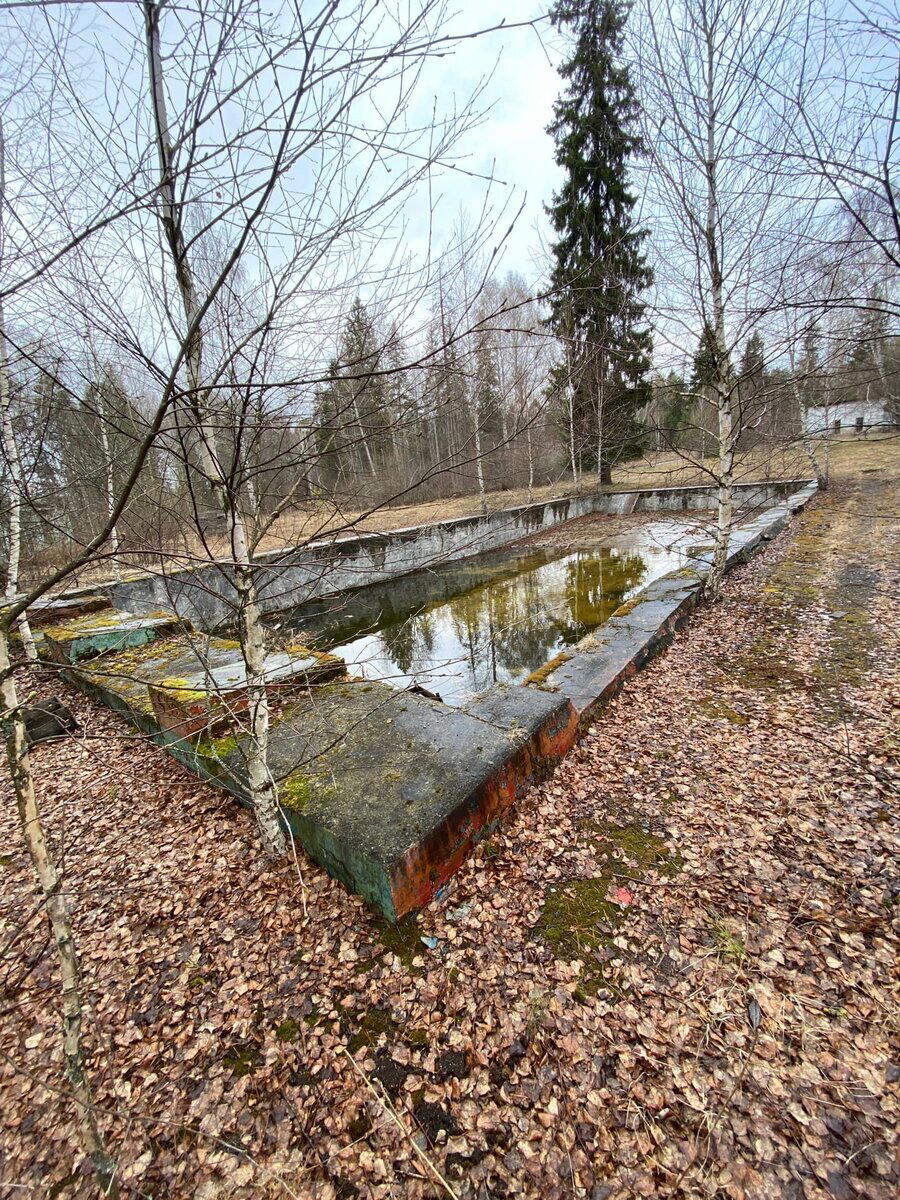 Наткнулся в лесу на заброшенный лагерь, со здоровым бассейном. Такое чувство, что я здесь был когда -то