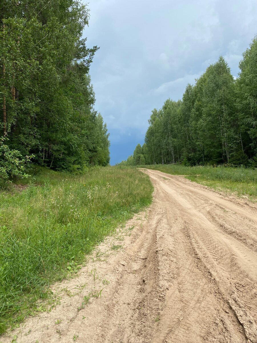 Показываю находки из заброшенного, лесного лагеря пленных немцев и полицаев. Часть 2