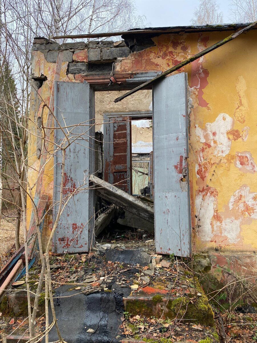 Наткнулся в лесу на заброшенный лагерь, со здоровым бассейном. Такое чувство, что я здесь был когда -то